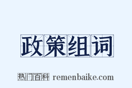 政策组词是什么意思的图片